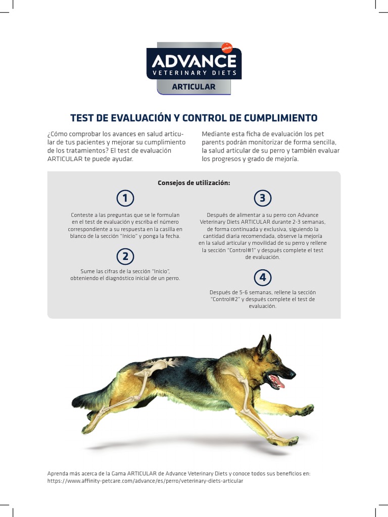 Test de Movilidad Perro | PDF | Perros | Enfermedades y trastornos
