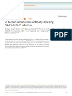 A human monoclonal antibody blocking SARS-CoV-2 infection