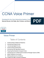 Voice Primer Slides.pptx