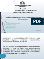 Proteínas Recombinantes Eucariotas