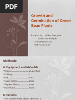 Growth and Germination of Green Bean Plants Presentation