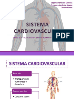 8°-Sistema-cardiovascular