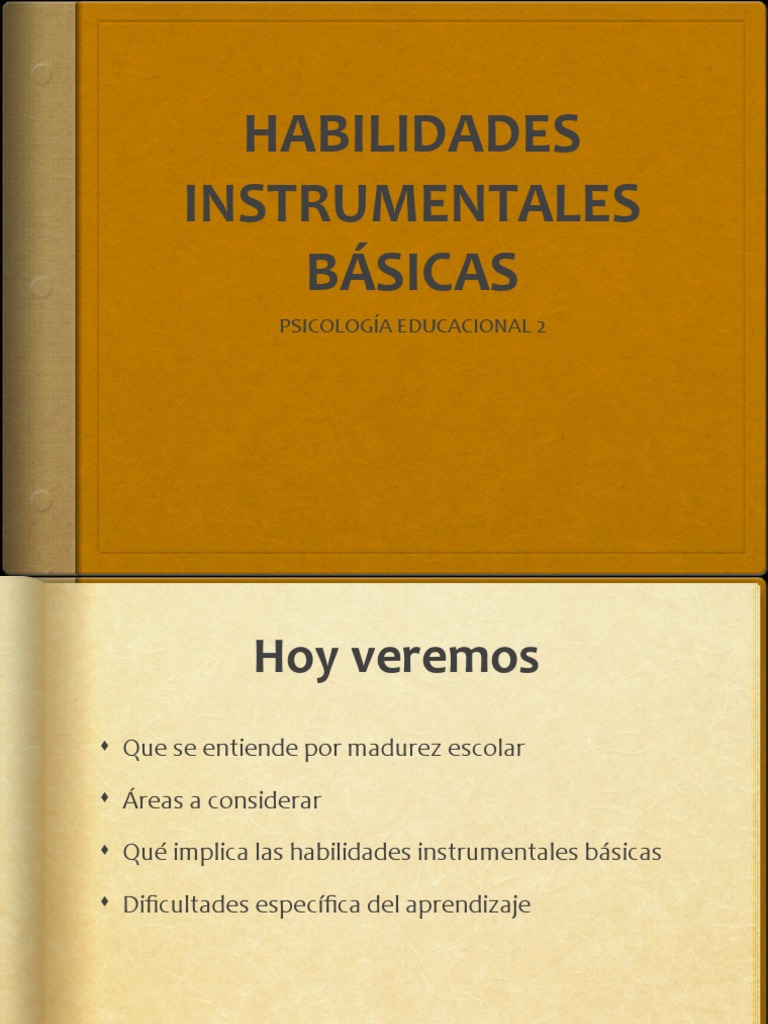 Habilidades Instrumentales Básicas | PDF | Percepción | Aprendizaje