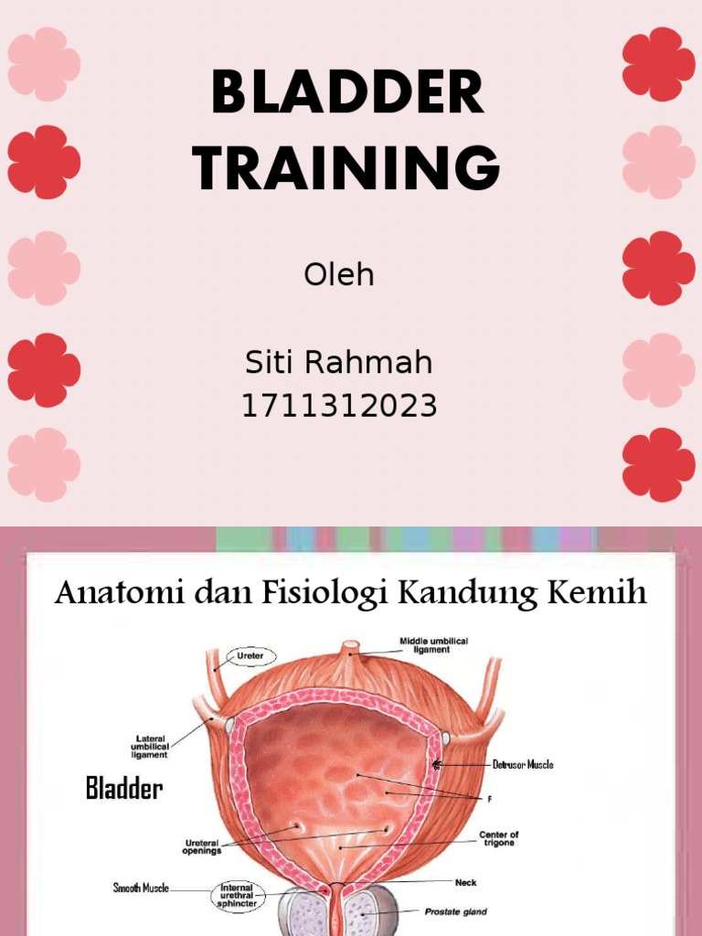 Pelatihan Kandung Kemih Efektif | PDF | Kesehatan Holistik