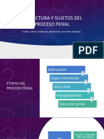 Estructura y Sujetos Del Proceso Penal PDF