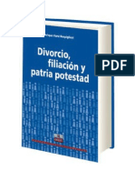 Divorcio, filiación y patria potestad: aspectos legales clave