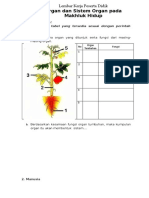 Worksheet 2 Organ Dan Sistem Organ