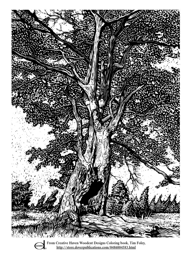Trees Coloring Page PDF | PDF