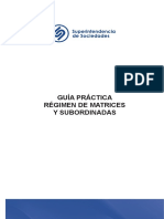 Guia_Practica_RegimenMatricesySubordinadas.pdf