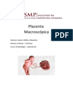 Placenta: estructura, funciones y observación macroscópica