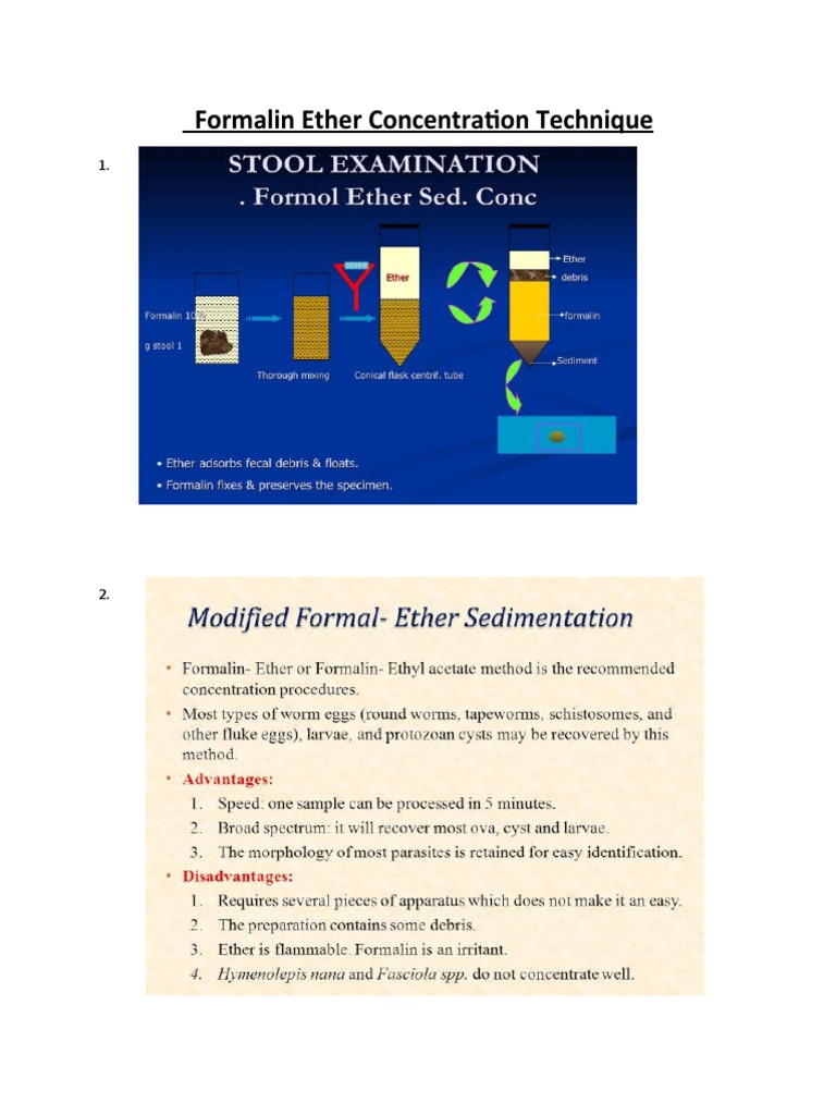 FECT | PDF | Science & Mathematics