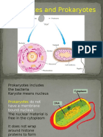 Prokaryotes STGRM