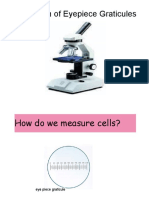 Calibration of Microscope
