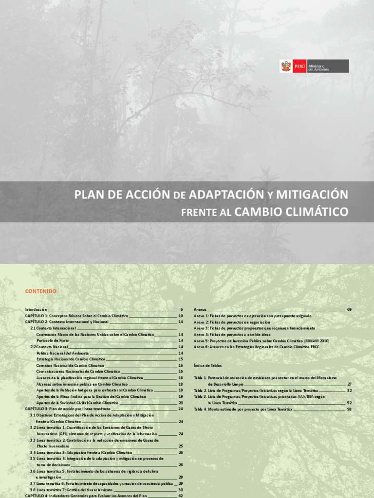 Plan de Acción de Adaptación y Mitigación Frente Al Cambio Climático ...