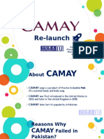 Camay Soap Re-Launch Strategy