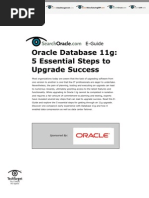 Oracle DB 11g - 5 Essential Steps to Upgrade Success 2009