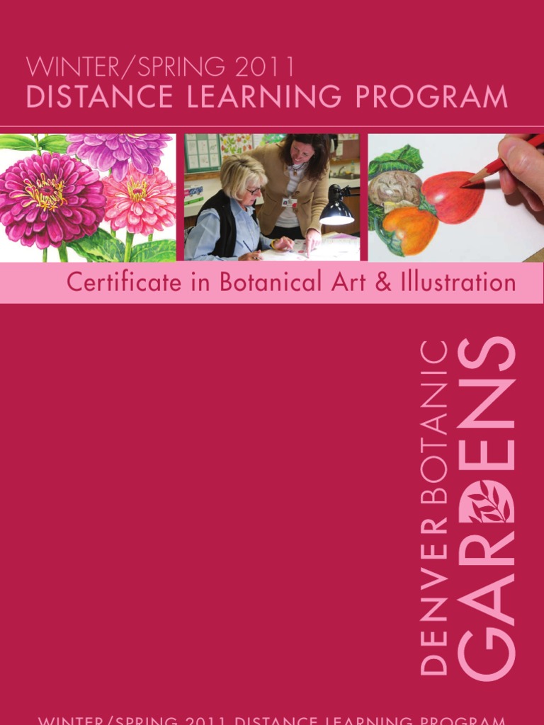 Botanical Illustration Certificate Program at Denver Botanic Gardens Distance Learning Program