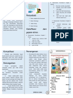 Leaflet Hiperemesis