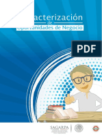 Caracterización de Oportunidades de Negocio-ON-068-Elaboración de productos dietéticos.pdf