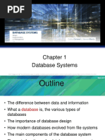 C01 Database - Systems WEEK 1&2 PDF