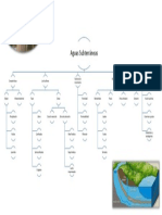 Hidrologia Mapa Mental PDF