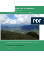 1548402043-Meio Ambiente em Mozambique 2013 PDF