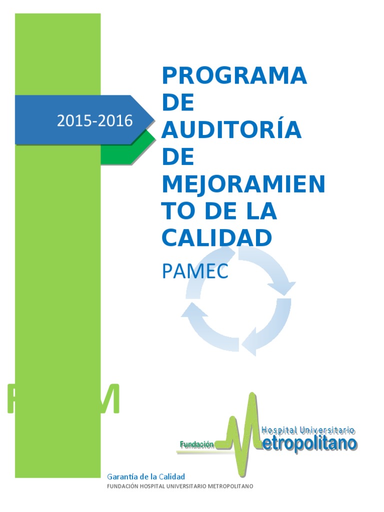 Programa de Auditoría de Mejoramiento de La Calidad | PDF | Seguridad ...