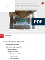 Durabilidad Del Concreto Ante Agentes o Climas Agresivos PDF