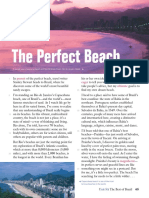 The Perfect Beach: Pursuit Eager Ultimate