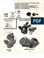 Tema 1-Ghid Identificare fosile GBA.pdf