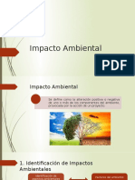 Impacto Ambiental