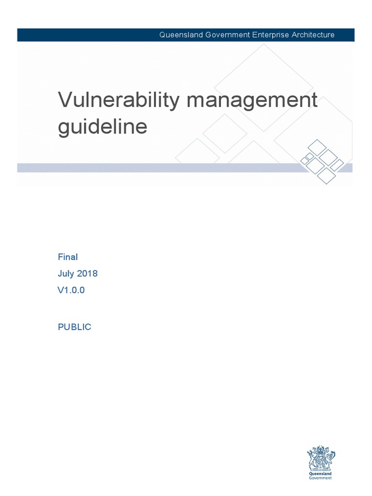 Vulnerability Management Guideline v1.0.0 PUBLISHED | PDF ...