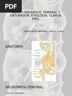 Signo de Froment y su Evaluación Clínica | PDF | Anatomía humana ...