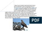 GG PDF