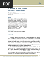A imagem e seus sentidos imanentes e transcendentes