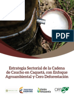 PUBLICACIÓN Visión Amazonía Caucho Caquetá PDF