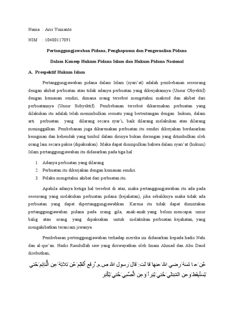 Pertanggungjawaban Pidana dalam Hukum Islam | PDF | Hukum | Sains ...