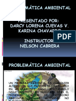 Problema Ambiental