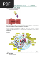 AULA CORPOS ESPIRITUAIS