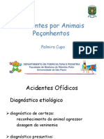 Acidentes por Animais Peçonhentos 2019.pdf