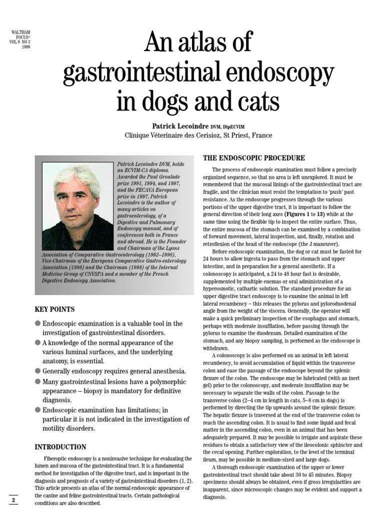 Atlas of Gastrointestinal Endoscopy in Dogs and Cats | PDF | Esophagus ...
