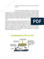 Metodologia de Biorremediacion