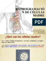 Reprogramacion de Celulas Madre