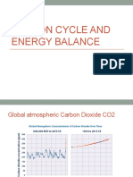 Carbon Cycle and Energy Balance