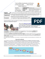Guia No 3 Naturales 2020 PDF
