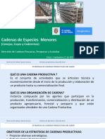 PLAN DE ACCION CADENAS DE ESPECIES MENORES, AGT 2019