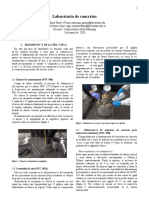 laboratorio_concreto.docx