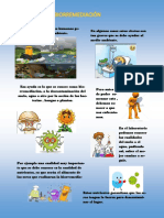 Afiche.pdf