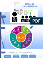 Etapas Den Entrenamiento y Plan PDF