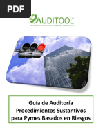 GuÝa de AuditorÝa para Procedimientos Sustantivos para Pymes Basados en Riesgos PDF
